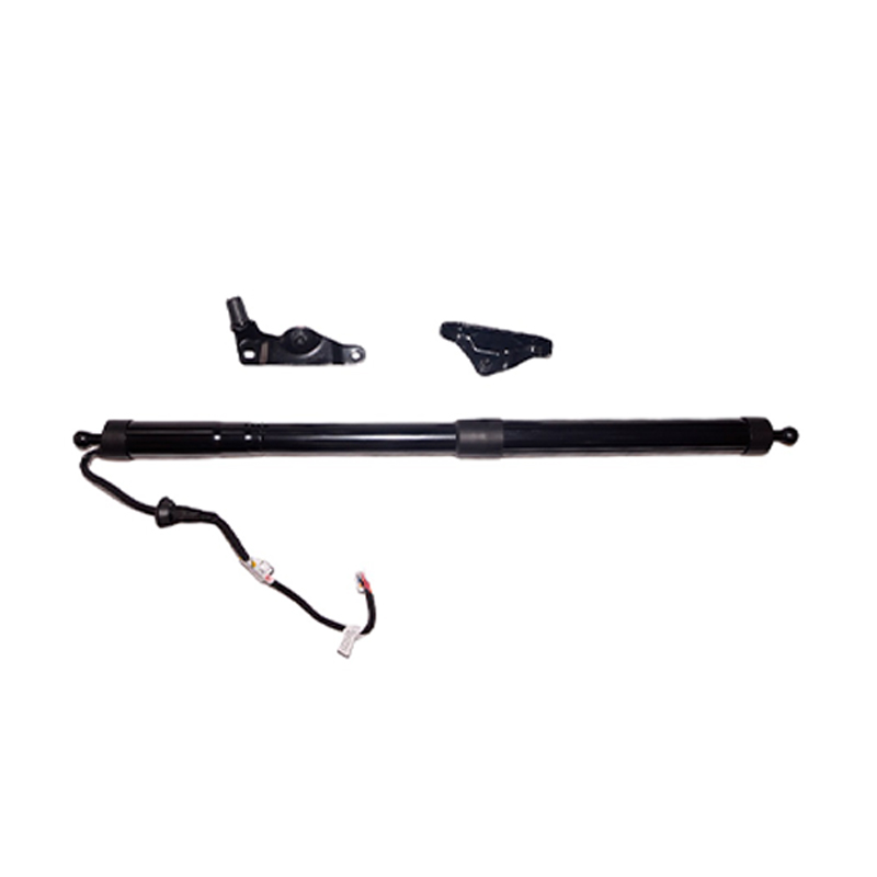 Toyota Highlander Hatch Hatch Struts 2014